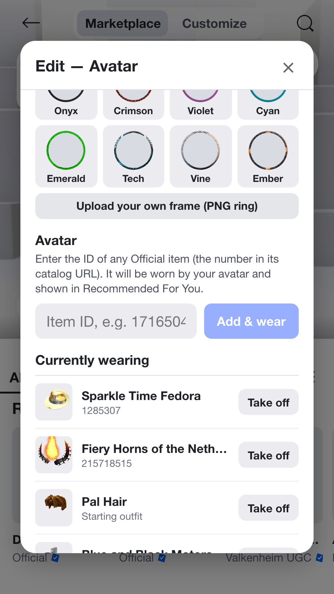 Add items from the catalog and wear them